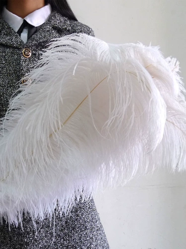 55-60 Южная Африка Импортированная страус -пера свадебная мебель