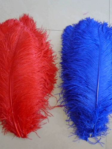 От 50 до 55 см. Крупные стержневые перья Свадебного Свадебного события Стол Стол Цветочный Комнат Интерьер декоративные ювелирные аксессуары