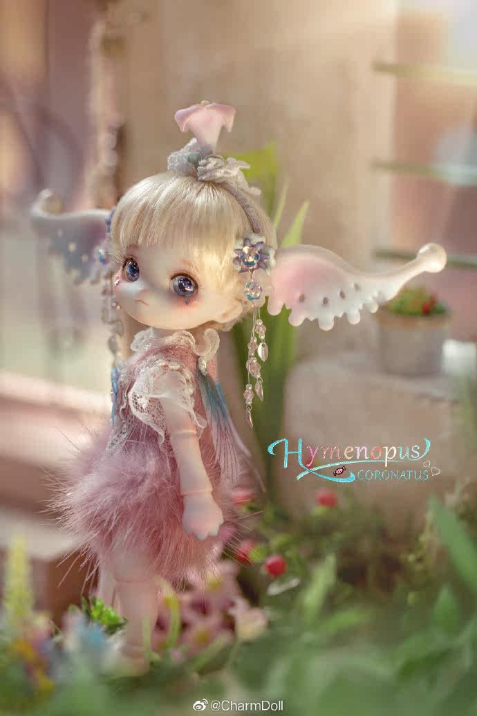 预告-bjd-cd-1/8小宠-kiki(琪琪)sd娃同类正版 charmdoll