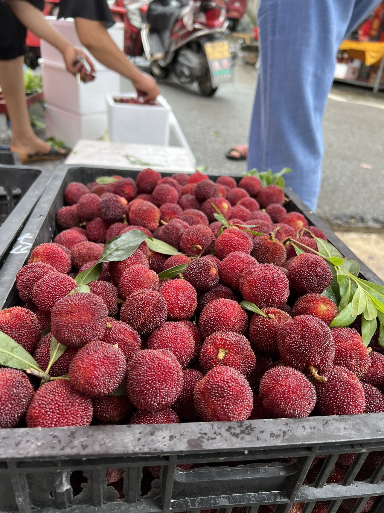 2023新鲜托口杨梅