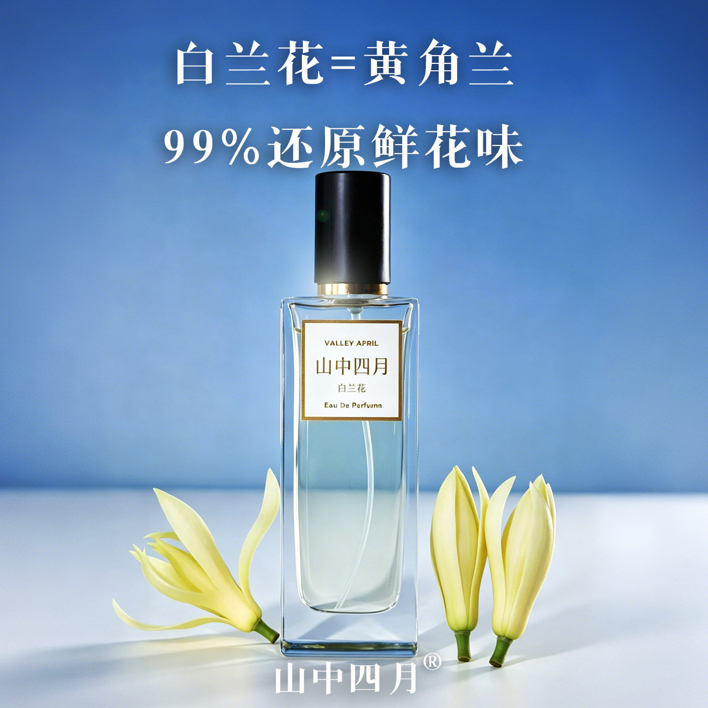 山中四月白兰花香水高度还原天然图片