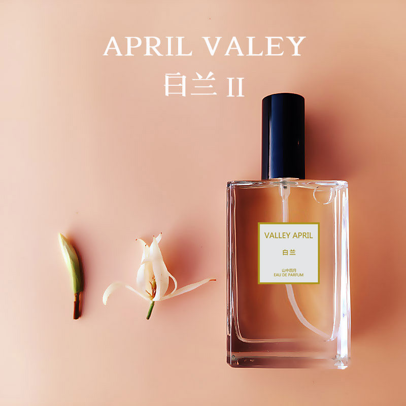 白兰花代表素材模板 白兰花代表图片下载 小麦优选