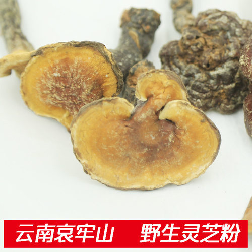 野生灵芝哀牢山打粉没有添加泡水