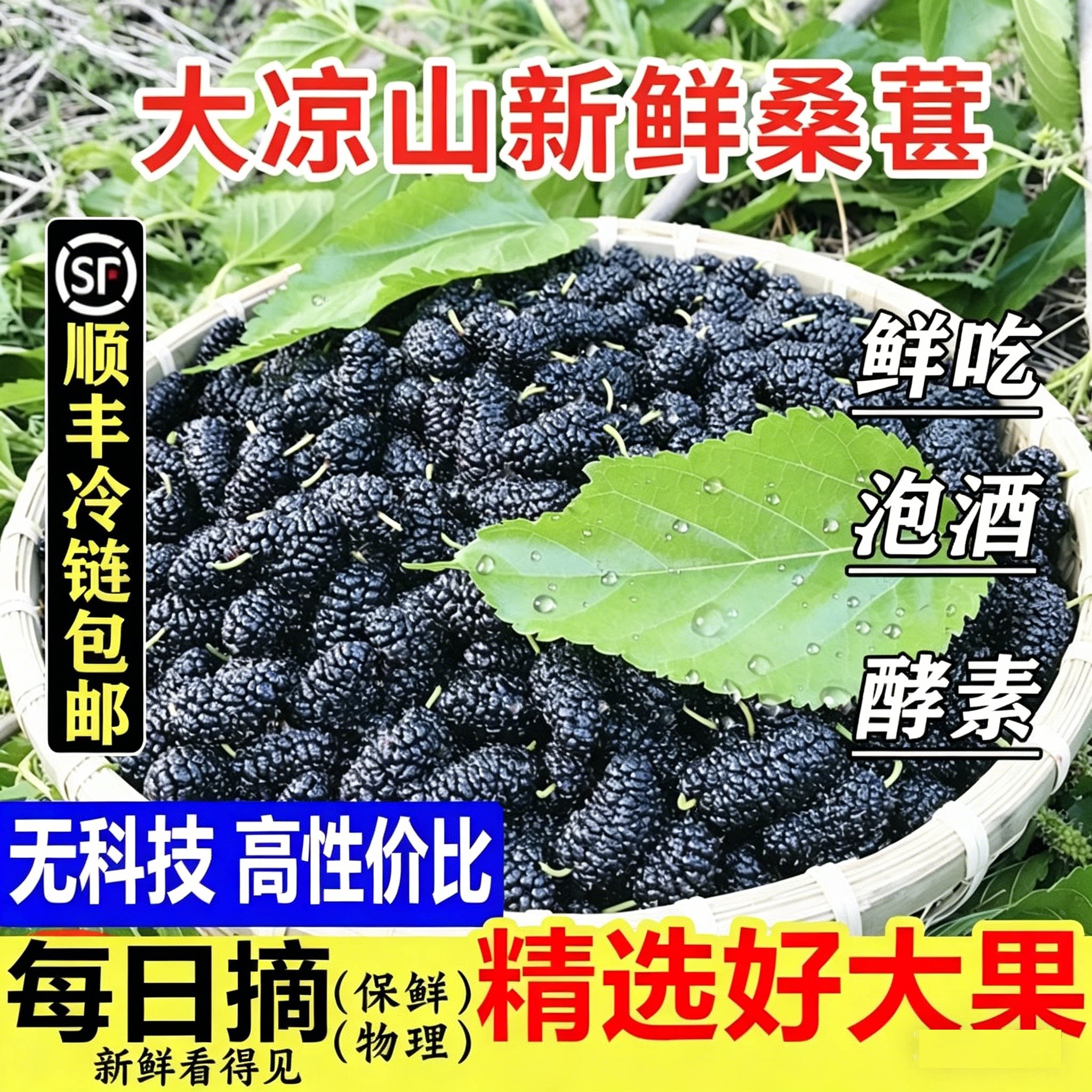 大凉山新鲜桑葚水果现摘四川桑椹子孕妇水果泡酒膏酵素浆顺丰纯甜