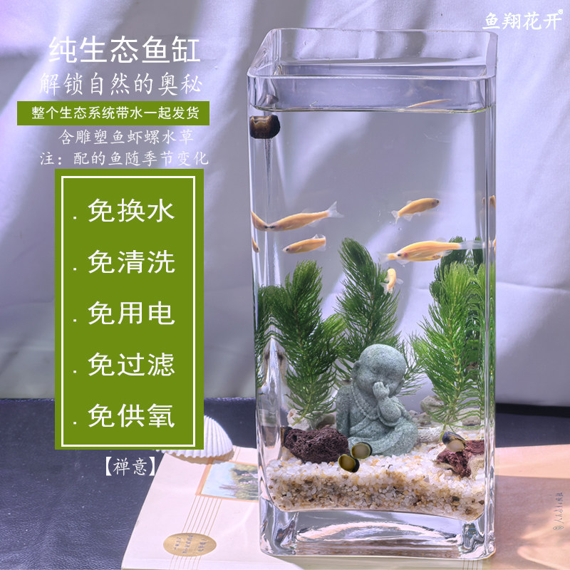 禅意归隐田园佛系免换水自洁