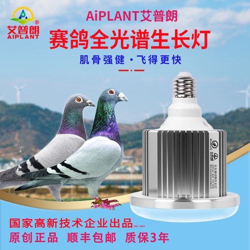 艾普朗全光谱赛鸽提肌动力生长灯