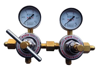 氧气减压器YQY 双级精密减压表小体阀 11经济型管道氧气减压器