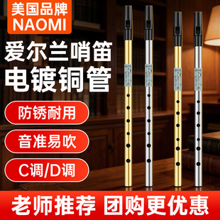 NAOMI爱尔兰哨笛C/D调高音初学入门6孔金属笛学生课堂乐器竖笛
