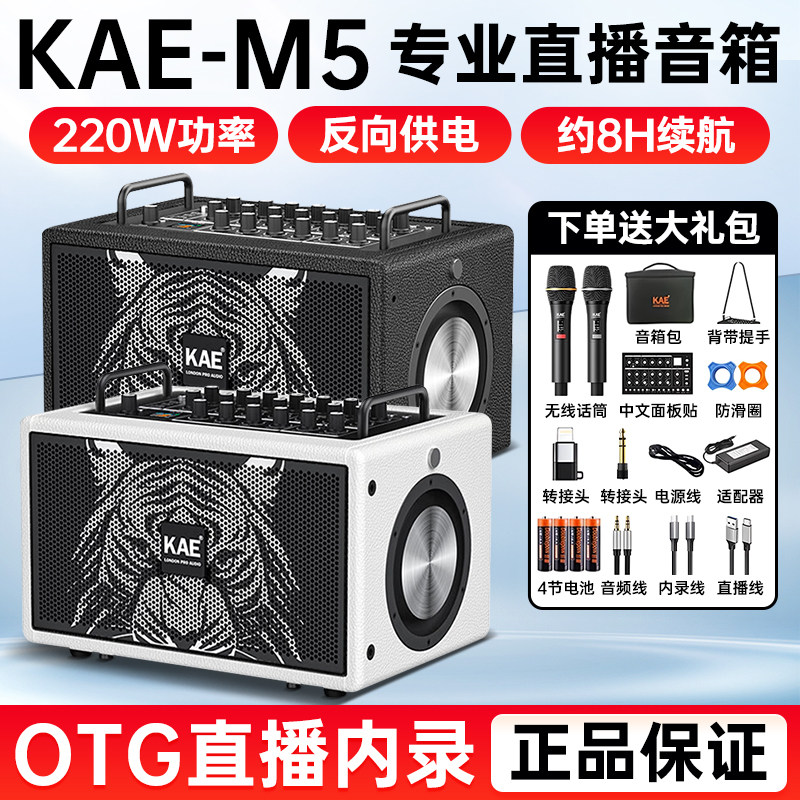 英国KAE M5虎头音箱乐器专用电吹管萨克斯吉他户外弹唱直播音响