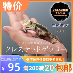 包邮现货 万代 扭蛋 生物大图鉴 仿真 爬行 动物 壁虎 睫角 守宫