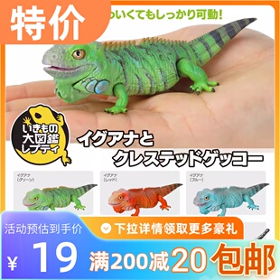 包邮 现货 万代 扭蛋 生物大图鉴 美洲 蜥蜴 睫角 守宫