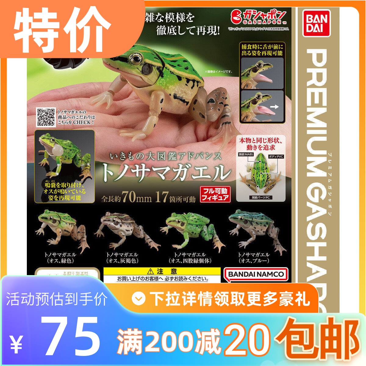 包邮生物大图鉴黑斑侧褶蛙
