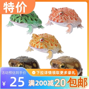 包邮 现货 万代 扭蛋 生物大图鉴 角蛙 散疣短头蛙 馒头蛙