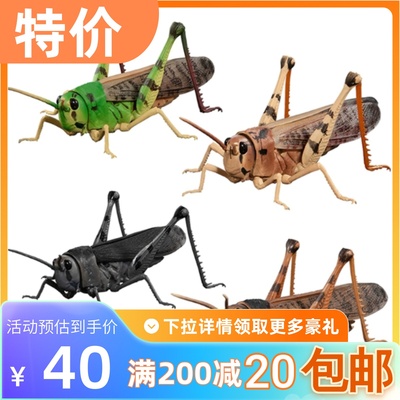包邮现货生物大图鉴蝗虫飞蝗