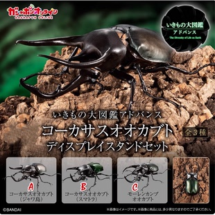 万代 现货 扭蛋 生物大图鉴 昆虫 南洋大兜虫 包邮