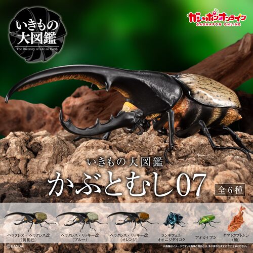 包邮 现货 万代 扭蛋 生物大图鉴 甲虫 7 独角仙 长戟 屎壳郎