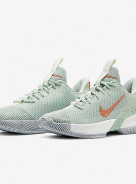 Nike/耐克正品新款男子詹姆斯使节13实战运动篮球鞋CQ9329-004