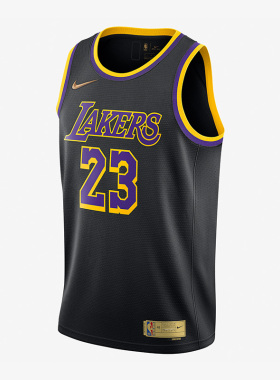 Nike/耐克正品詹姆斯JAMES23号球衣男子篮球服背心CN9929-013