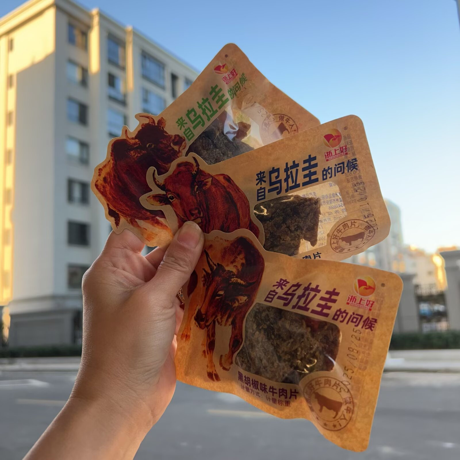 浙上好乌拉圭牛肉干系列碳烤味、沙爹味、黑胡椒味三选一 散称1斤