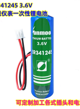 日月ER341245探头报警器煤矿源定位器PLC设备仪器3.6V锂电池DD型