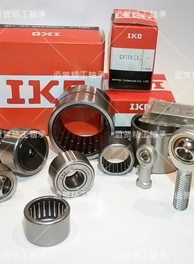 日本IKO进口RNAF202813 253716 304216 253517无内圈滚针轴承