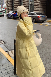 档口现货2023新款中长款立领白鸭绒羽绒服288A-921图片