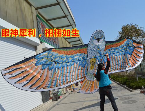 新大型风筝6米前置米多仿真老店