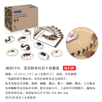 美国Guidecraft 宝石标本爬行动物化石9块套装儿童科学实验玩具3+