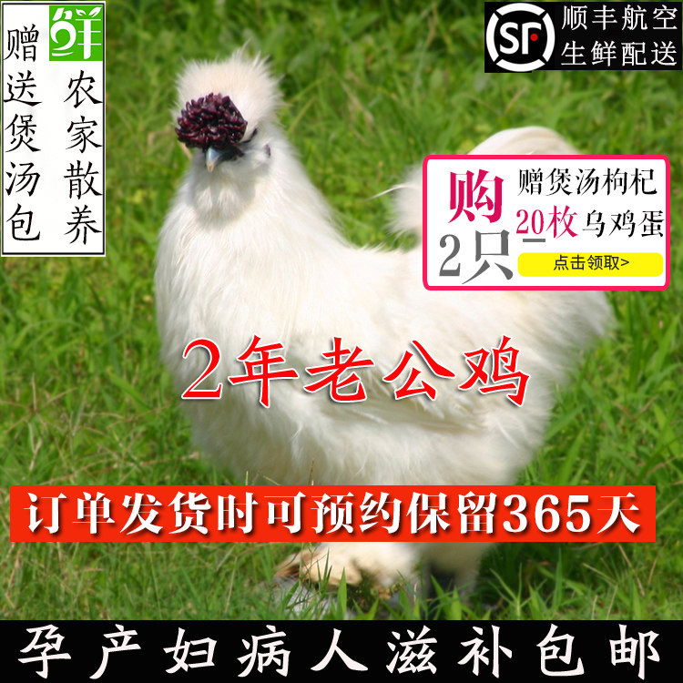 泰和乌鸡2年农家雄公鸡散养土公鸡白凤乌骨雄公鸡草雄公鸡子公鸡