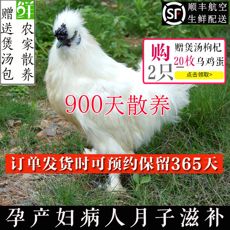 泰和乌鸡3年农家老母鸡散养土鸡鲜活鸡肉白凤乌骨鸡苏北草鸡包邮