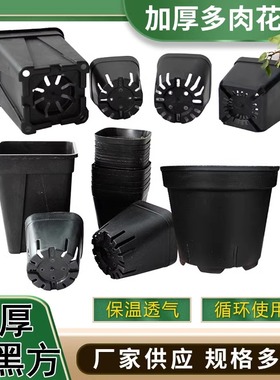 小黑方盆塑料拇指小圆盆韩式青山盆高花盆9方控根盆八角盆景天盆