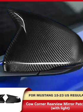 适用于美规福特野马MUSTANG带灯款改装碳纤维后视镜罩外壳装饰贴