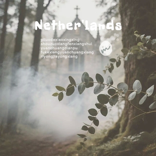 《桉叶教堂》幽深的绿意尤加利叶松柏植物草木质小众中性香水香氛