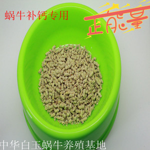 蜗牛必需蜗牛食物盆 饲料碗 狗碗 宠物食盆优质宠物碗彩色宠物碗