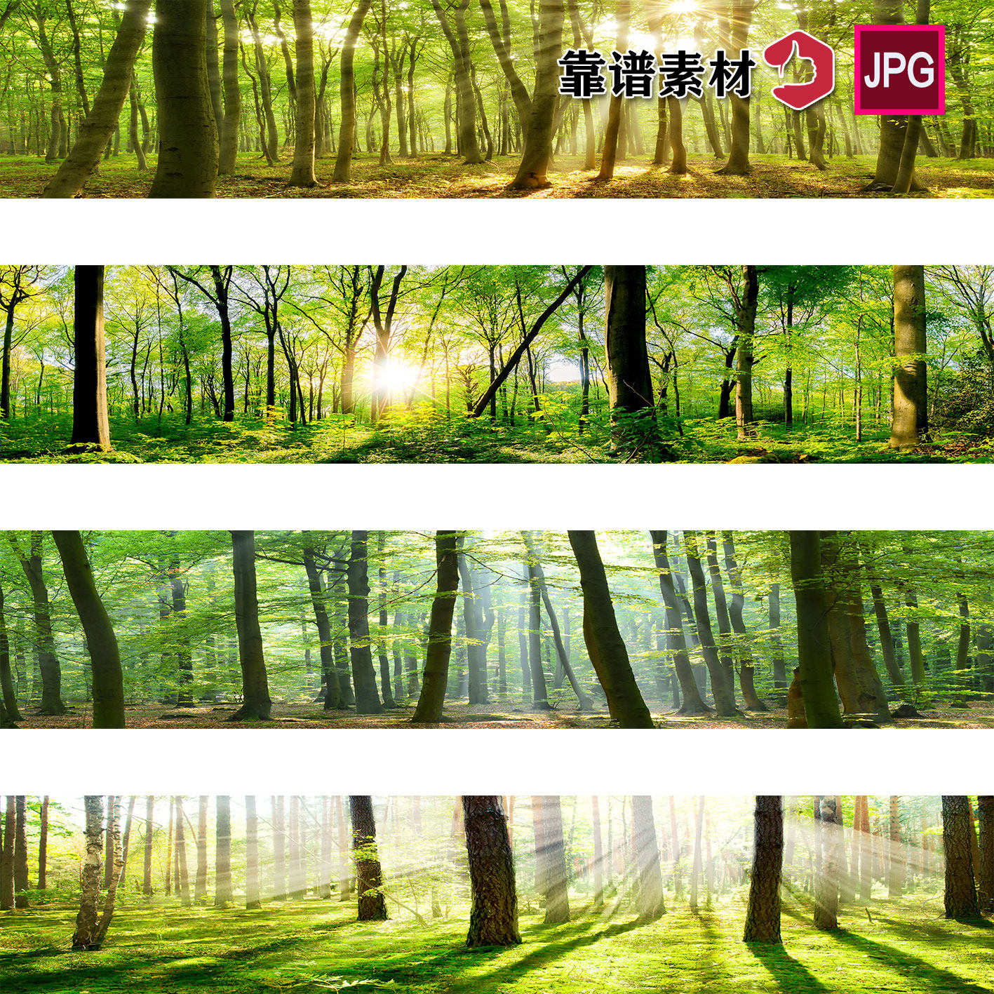 长景图优美树林森林阳光风景装饰画高清背景图片设计素材