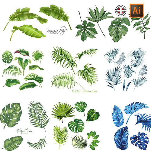 水彩热带植物龟背竹芭蕉叶棕榈叶插画AI矢量素材