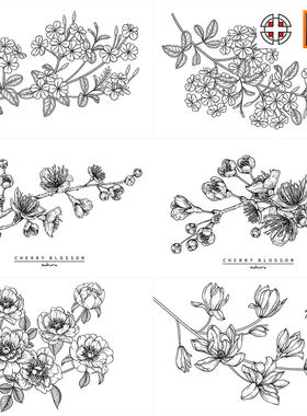 山茱萸百合花樱花桃花牡丹菊花白描线条素描插画AI矢量设计素材