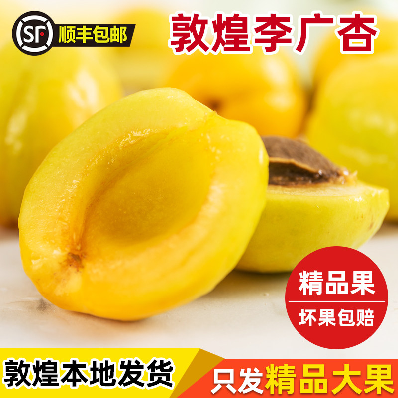 自家产敦煌新鲜李广杏 鲜特产天然原产地10斤装顺丰直发水果包邮