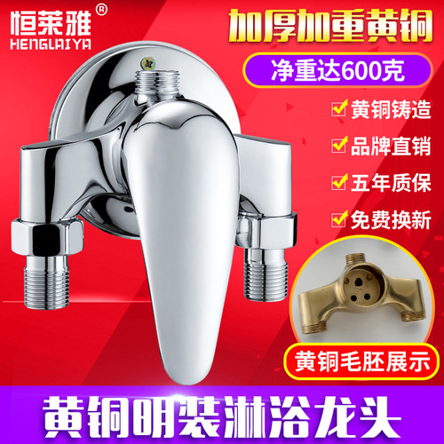 全铜体明装淋浴龙头热水器混水阀