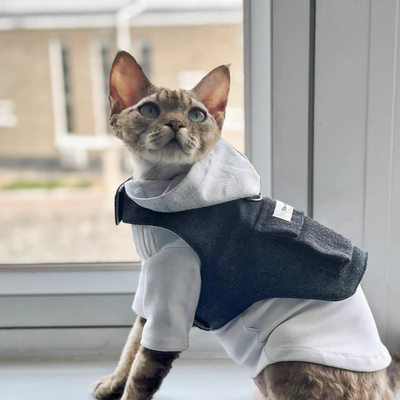 德文无毛猫露营户外遛猫宠物猫狗耐脏黑色牛仔连帽胸背带牵引绳胸