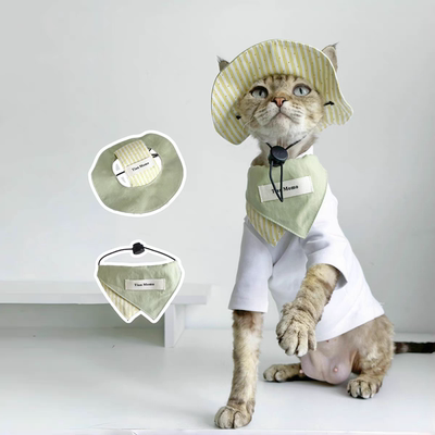 德文猫无毛猫宠物围脖口水巾