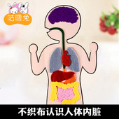 人体内脏教具 创意儿童不织布手工diy制作材料包幼儿园认知手工