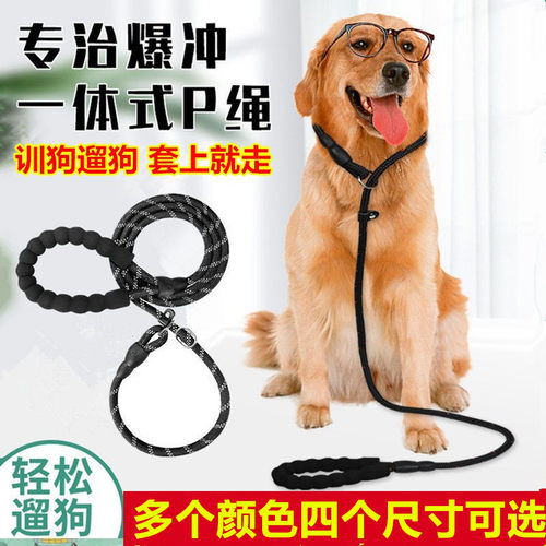 p链训犬用品防爆冲狗狗牵引绳