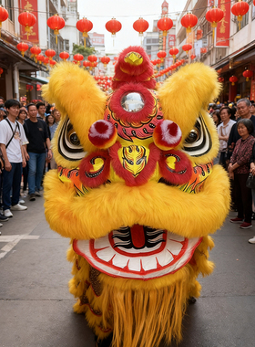 舞狮道具南狮双人狮羊毛狮广东狮澳洲羊毛舞狮表演狮单狮头演出狮