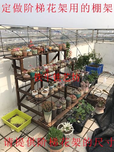 多肉花架遮雨棚素材模板 多肉花架遮雨棚图片下载 小麦优选