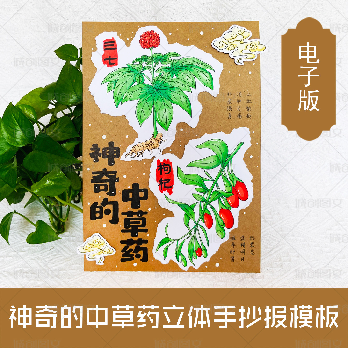 LT14神奇的中草药立体手抄报黑白线图电子版竖版中草药剪贴画模板