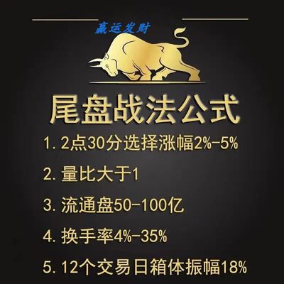 尾盘战法 绝技买股 股票 炒股实战游资训练营学习视频 尾盘买入法