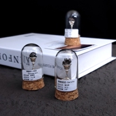 真品陨石标本收藏摆放科普礼物天然星星流星天铁石陨石石铁陨石头