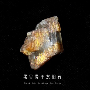 坦桑尼亚黑金骨干太阳石头天然原石原矿猫矿矿晶地质科普教学标本