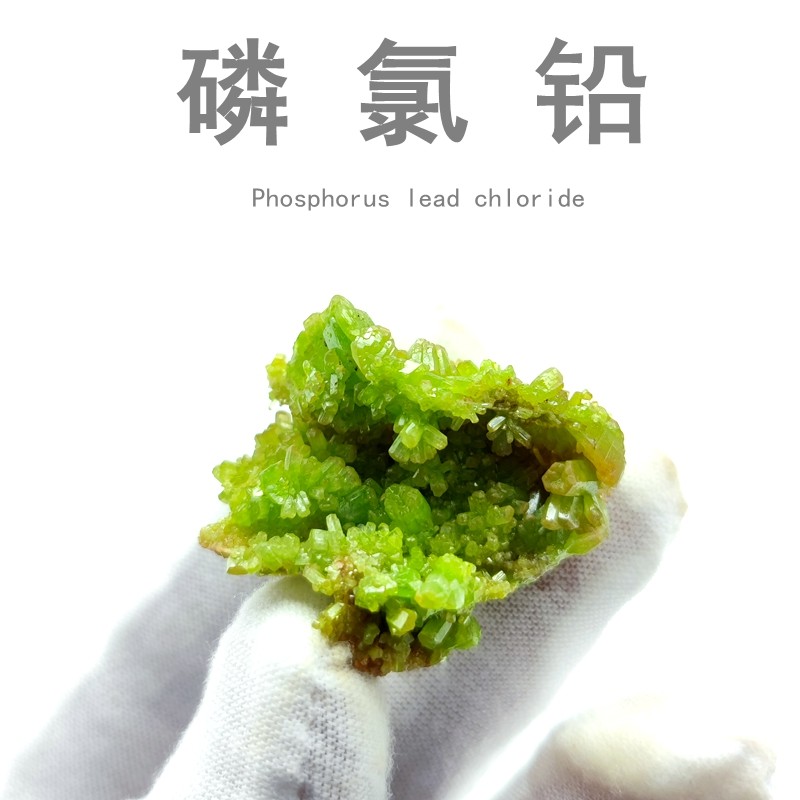 磷氯铅矿天然绿色矿物晶体原石盒子猫矿教学标本观赏奇石收藏摆件